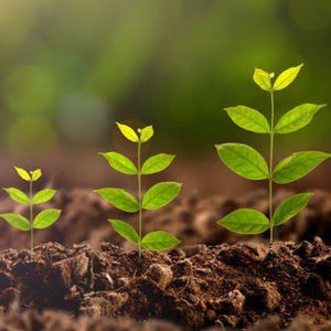 Meet your Posher, Kc